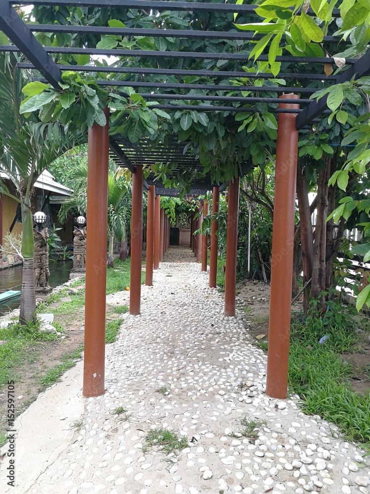 Fototapeta premium Arachway in the garden.