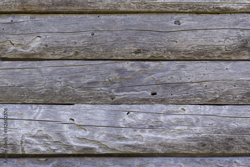 Naklejka premium Wooden wall made from logs. Background texture