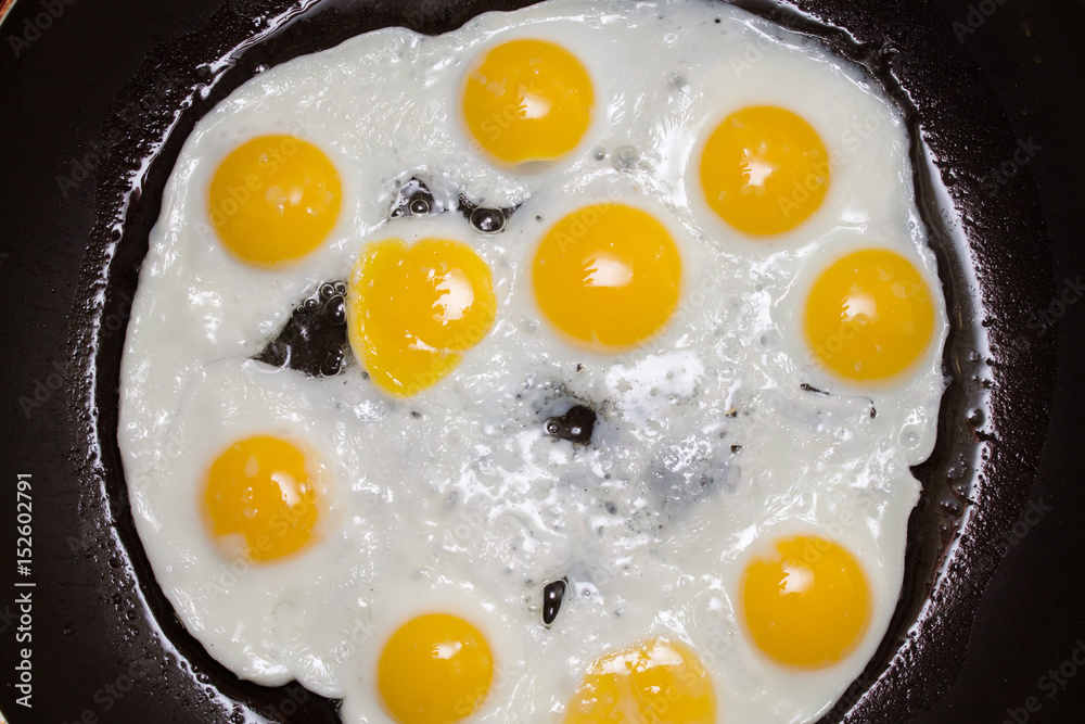 quail eggs fried in a pan quail eggs fried in a pan