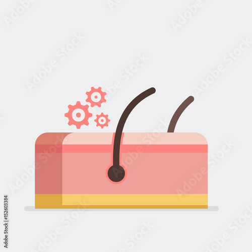 Skin vector illustration