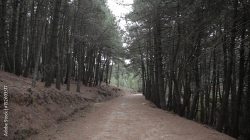 The Path 