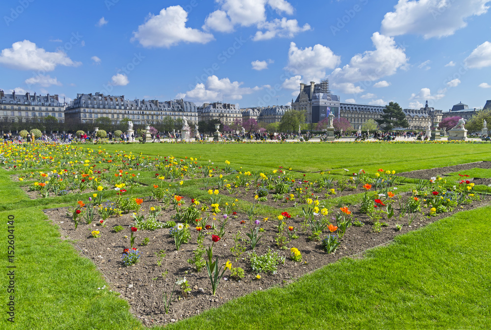Flowers on the lawn. The Tuileries Gardenl. Paris, France.