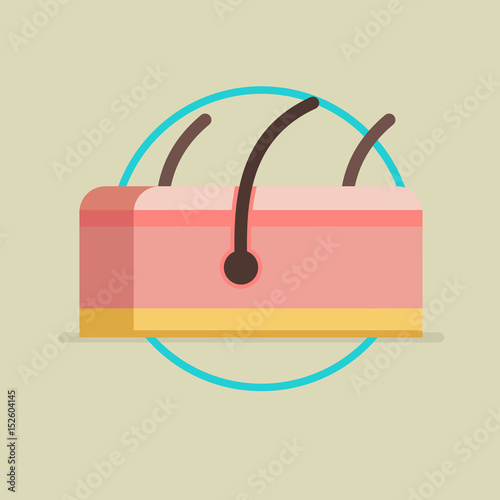 Skin vector illustration