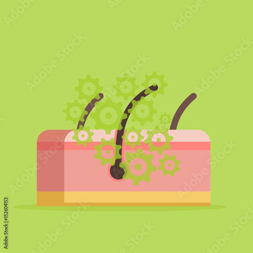 Skin vector illustration