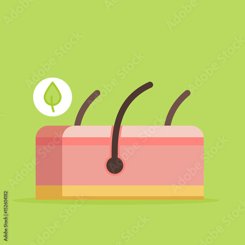 Skin vector illustration