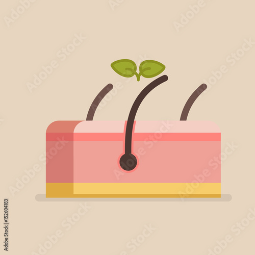 Skin vector illustration