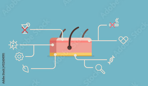 Skin vector illustration