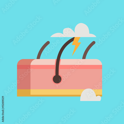 Skin vector illustration