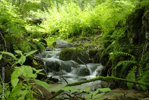Jezioro Lubie. photo