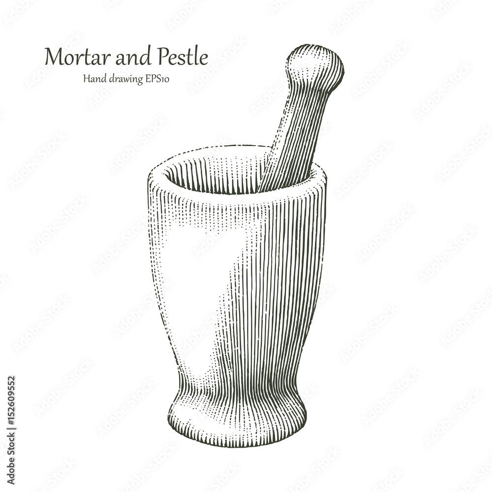 Mortar and Pestle hand drawing engraving style Stock Vector Adobe Stock