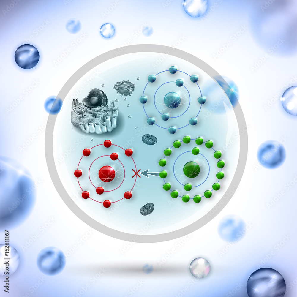 How antioxidant works against free radicals. Antioxidant donates
