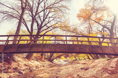 Bridge in autumn forest