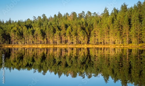 Landscape with lake and nice reflection from tree row at autumn evening in Finland