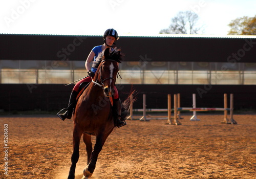 конный спорт.девушка со своим конем готовится к соревнованиям
