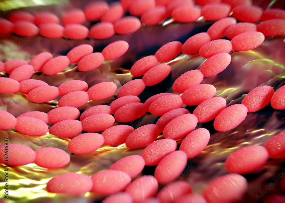 3d rendering - acetobacter bacteria 3d rendering - acetobacter bacteria