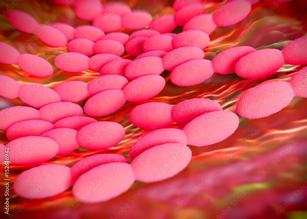 3d rendering - acetobacter bacteria 3d rendering - acetobacter bacteria