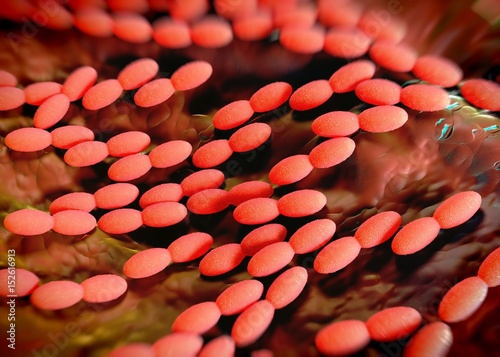 3d rendering - acetobacter bacteria