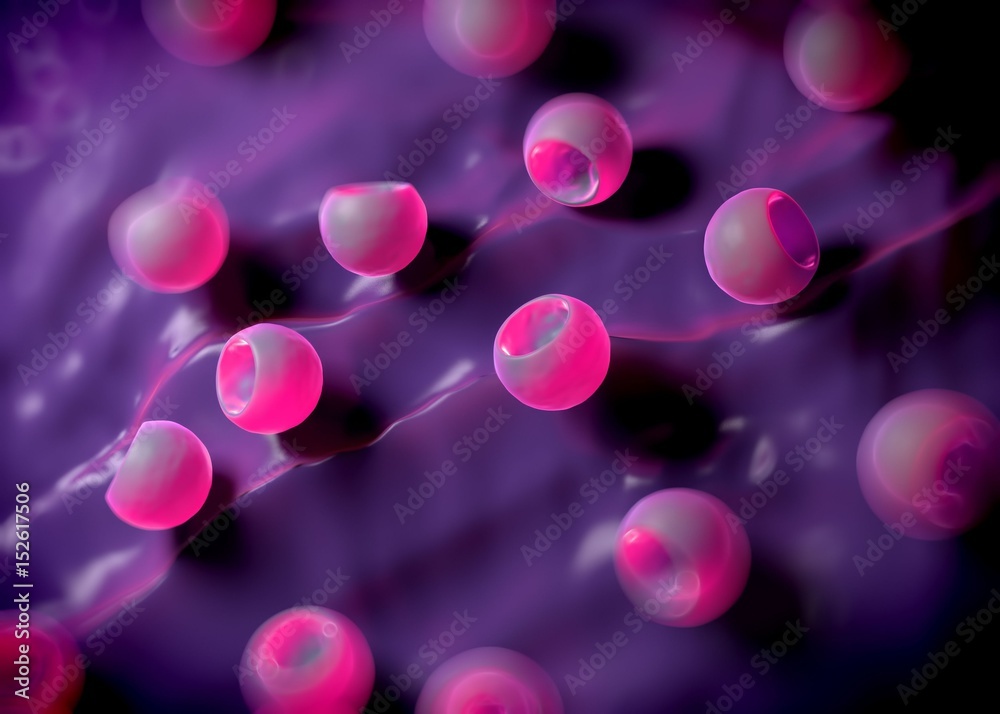 3d rendering - bacterial cells 3d rendering - bacterial cells
