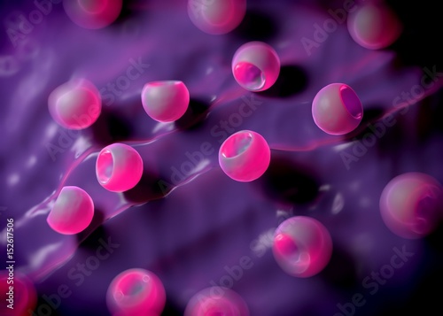 3d rendering - bacterial cells photo
