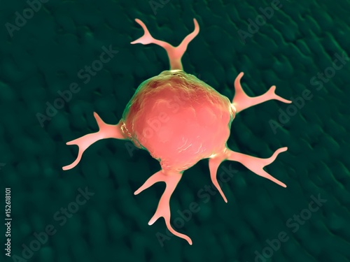 3d rendering - macrophages