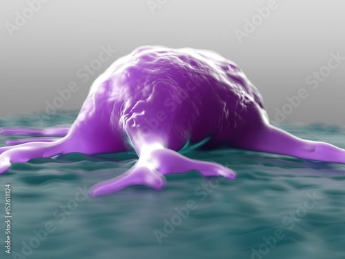 3d rendering - macrophages