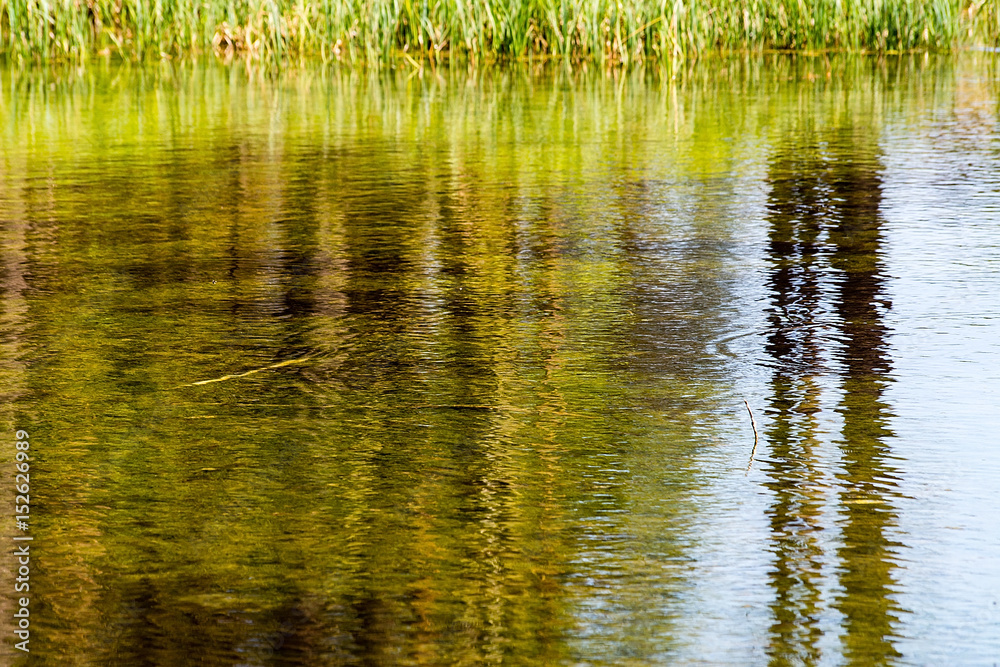 By the pond.