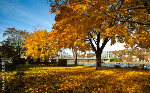 Goldener Herbst, Blaues Wunder in Dresden photo