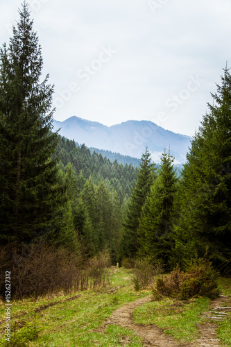 A beautiful mountain forest landscape. Mala Fatra mountains in Slovakia