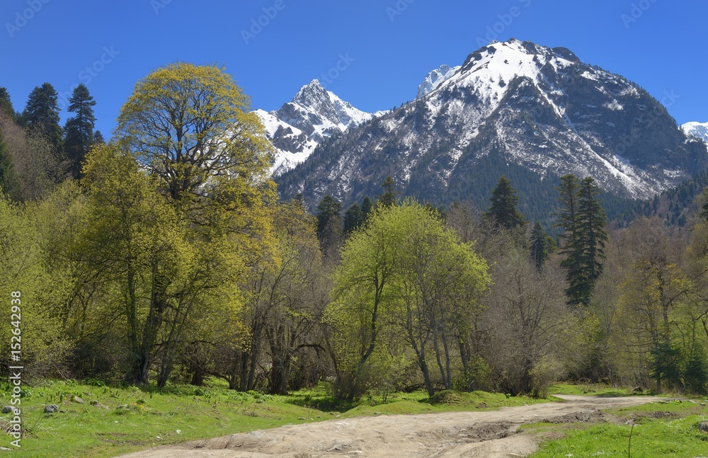 Spring in Caucasus Spring in Caucasus