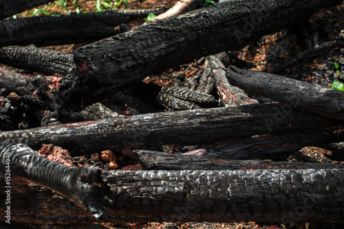 A piece of wood burned like an abstract background