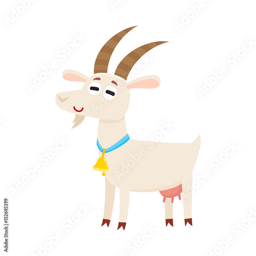 Farm goat with big eyes and horns  wearing bell  cartoon vector illustration isolated on white background. Cute and funny farm goat with friendly face and big eyes