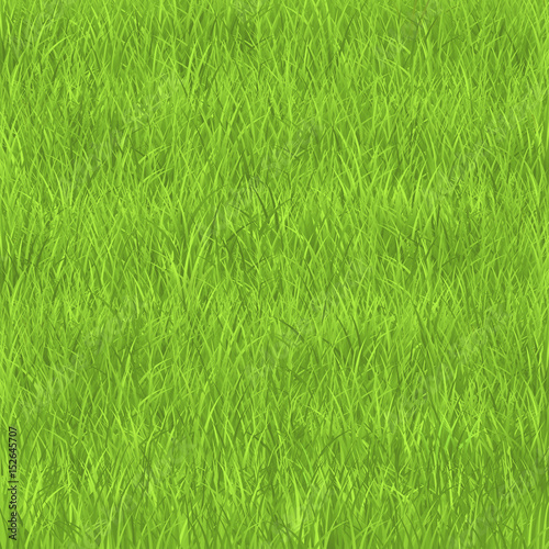 Grass. Fresh green grass texture