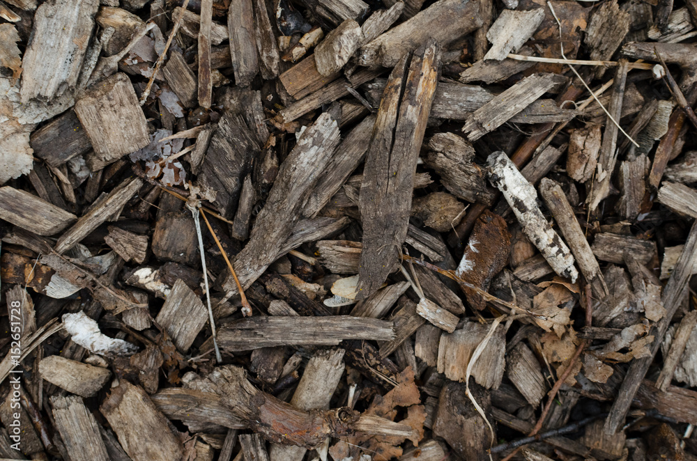 Wooden texture and background Wooden texture and background