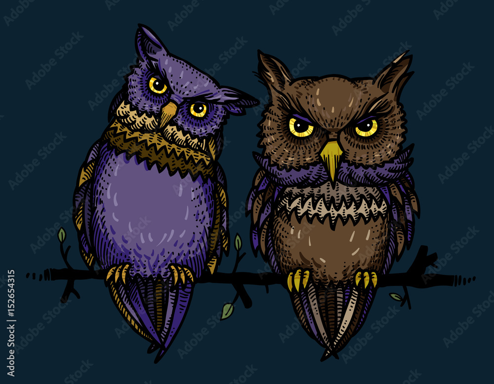 Cartoon image of cute owls. An artistic freehand picture. Cartoon image of cute owls. An artistic freehand picture.