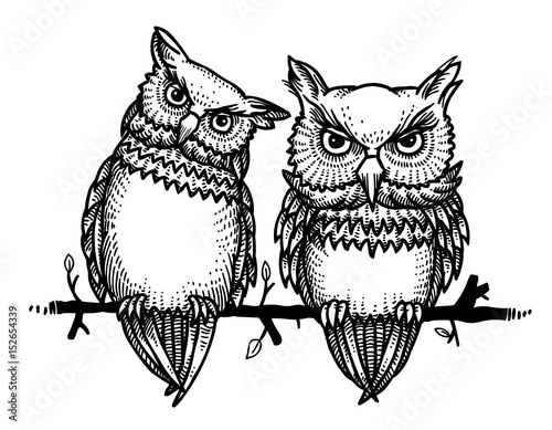 Cartoon image of cute owls. An artistic freehand picture.