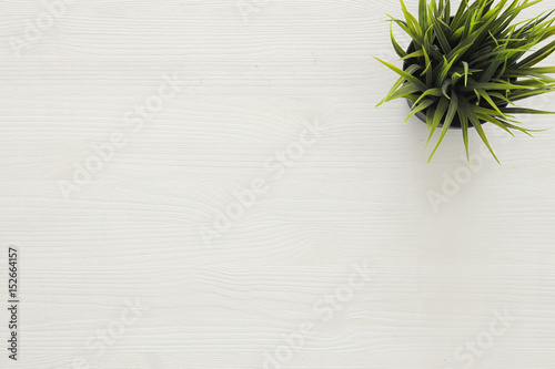 top view image of wooden white background and plant in pot