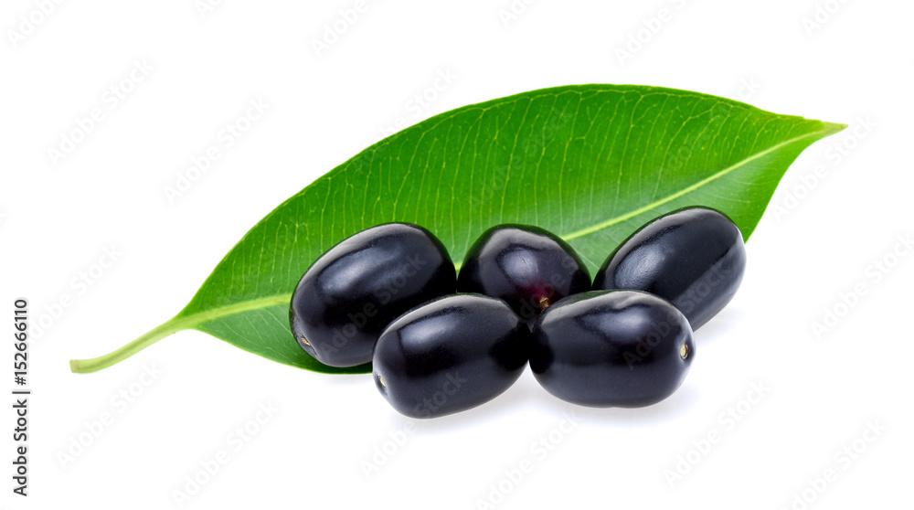 Jambolan plum or Java plum isolated on white background Stock Photo ...
