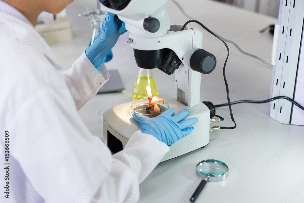 Scientist researching chemistry, technology and biology in laboratory. Scientist researching chemistry, technology and biology in laboratory.