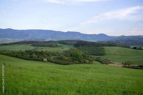 Green meadow with trees and views to mountains. Slovakia © Valeria