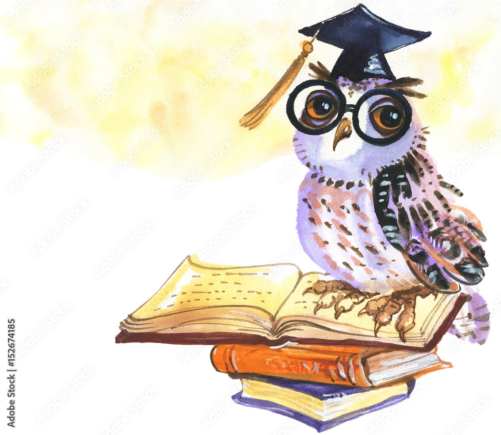 Obraz premium Watercolor graduate owl. Hand drawn bird in a graduation cap, glasses and books. Painting illustration symbol of celebrating the graduation ceremony