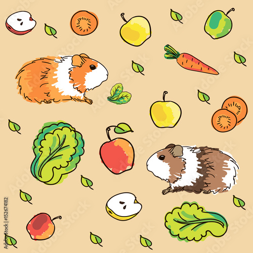 Seamless pattern with guinea pigs. Background with pets and food.