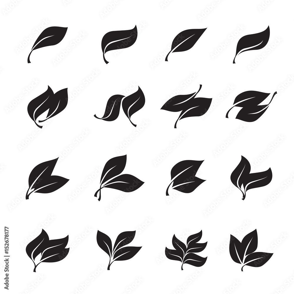 Black leaves isolated from the background. Vector simple leaves tree.
