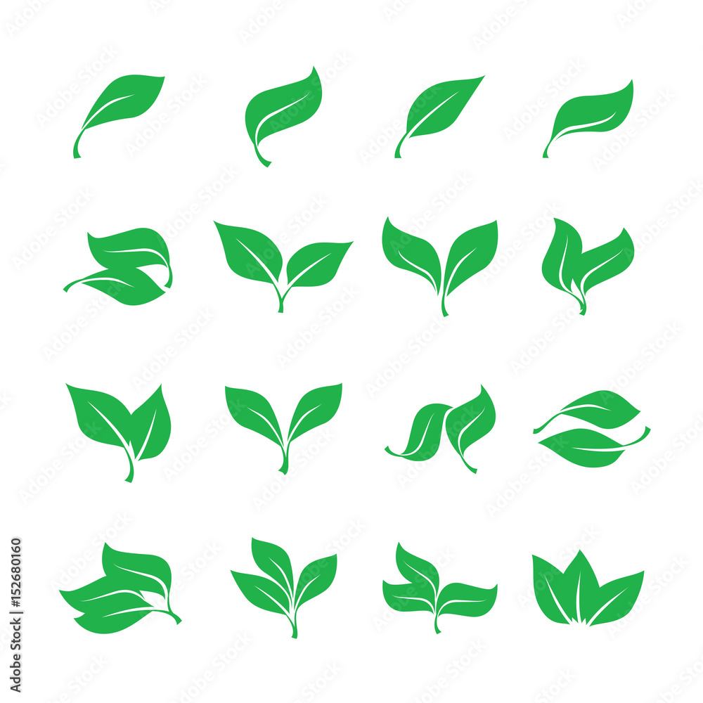 Set green leaves isolated from the background. Vector simple leaves tree. - obrazy, fototapety, plakaty 