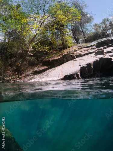 Under water in forest