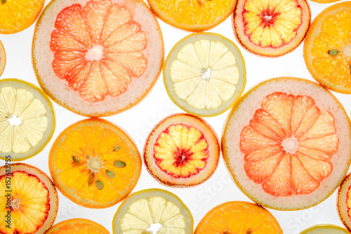 Fototapeta Naklejka Na Ścianę i Meble -  Mix of fresh transparent citrus fruits on white