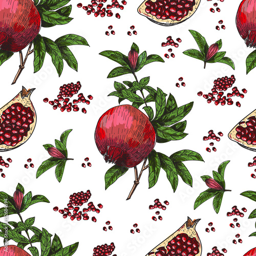 Seamless pattern Hand drawn sketch style pomegranates with seeds and leafs. Sketch style vector illustration. Organic food vector