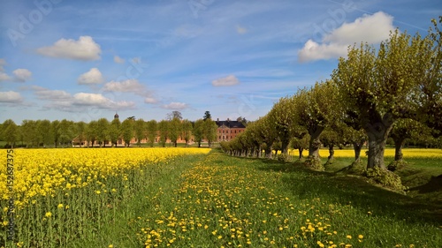 Fotografía Blick auf Schloss Bothmer