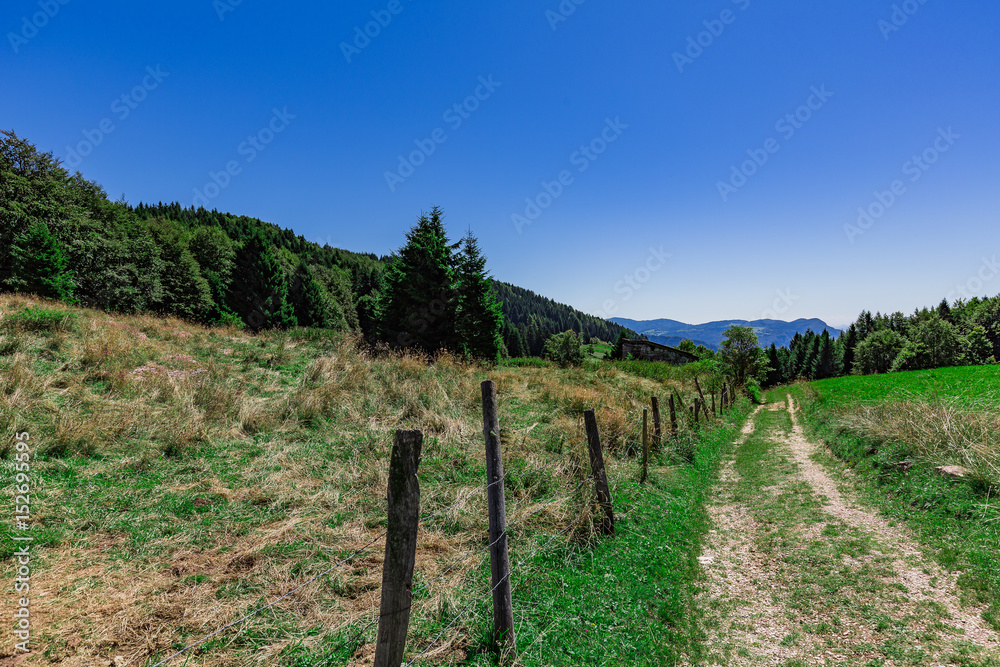 A Trail Through The Mountain Green Hills