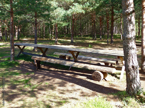 The wooden benches and the wooden table in a forest © Leoco