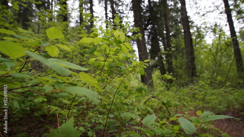 Exploring Washington State, the Great Pacific Northwest © Kevin